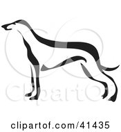 Poster, Art Print Of Black And White Paintbrush Styled Image Of A Greyhound