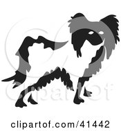 Black And White Paintbrush Styled Image Of A Papillon