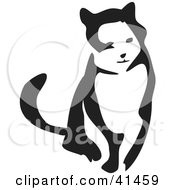 Poster, Art Print Of Black And White Brush Stroke Cat