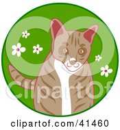 Poster, Art Print Of Curious Brown Cat In Grass With White Flowers