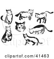 Clipart Illustration Of Seven Black And White Brush Stroke Painted Cats