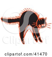 Poster, Art Print Of Black And Red Frightened Cat Arching Its Back