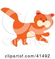 Poster, Art Print Of Cute Orange Kitty Cat With A Beige Belly And Cheeks