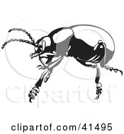Clipart Illustration Of A Black And White Sketch Of A Bloody Nosed Beetle by Prawny