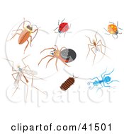 Poster, Art Print Of Cockroach Ladybug Spider Mosquito Mosquito Hawk Pillbug And Ant