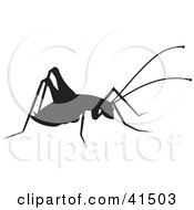 Black Silhouetted Cricket