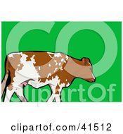Clipart Illustration Of A Walking White And Brown Cow In A Pasture