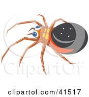 Poster, Art Print Of Chubby Spider