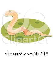 Poster, Art Print Of Happy Earthworm On Green Grass