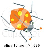 Poster, Art Print Of Orange Ladybug With Yellow Spots