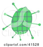 Poster, Art Print Of Green Plaid Ladybug