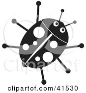 Happy Black Ladybug With White Spots
