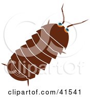 Poster, Art Print Of Brown Roly Poly Bug