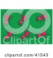 Poster, Art Print Of Six Pink Ants On A Green Background