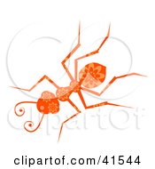 Poster, Art Print Of Orange Floral Patterned Ant