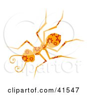 Clipart Illustration Of An Orange And Red Star Patterned Ant by Prawny