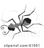 Poster, Art Print Of Black Silhouetted Ant