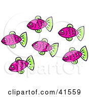 Poster, Art Print Of School Of Purple Fish With Green Fins