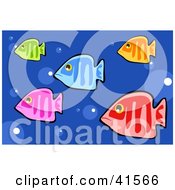 Poster, Art Print Of Five Colorful Fish Swimming In Blue Bubbly Water