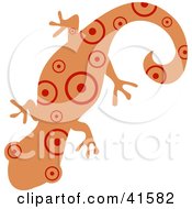 Salmon And Red Circle Patterned Gecko