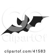 Poster, Art Print Of Black Silhouetted Bat