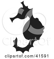 Poster, Art Print Of Black Silhouetted Seahorse