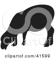Clipart Illustration Of A Black Silhouetted Goat