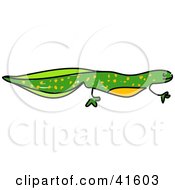 Poster, Art Print Of Sketched Green Newt