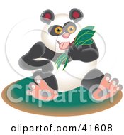 Clipart Illustration Of A Happy Giant Panda Munching On Bamboo