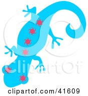 Poster, Art Print Of Blue And Pink Sun Patterned Gecko