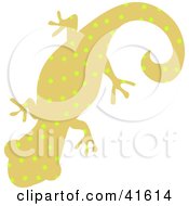 Tan And Yellow Spotted Patterned Gecko