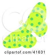 Poster, Art Print Of Green Spotted Patterned Butterfly