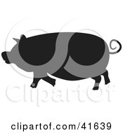 Poster, Art Print Of Black Silhouetted Pig