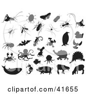 Poster, Art Print Of Black Bug And Animal Silhouettes