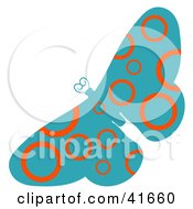 Poster, Art Print Of Blue And Orange Circle Patterned Butterfly