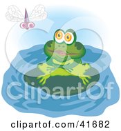 Poster, Art Print Of Green Frog On A Lily Pad Watching A Dragonfly