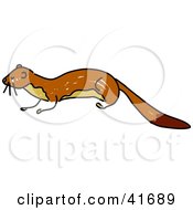 Sketched Brown Weasel