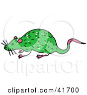 Poster, Art Print Of Sketched Green Rat