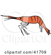 Clipart Illustration Of A Sketched Shrimp