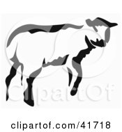 Poster, Art Print Of Black And White Paintbrush Stroke Styled Calf Or Lamb