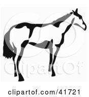 Poster, Art Print Of Black And White Paintbrush Stroke Styled Horse