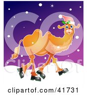 Christmas Camel Wearing A Santa Hat And Walking In The Snow