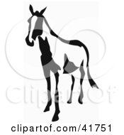 Poster, Art Print Of Black And White Horse In Paintbrush Stroke Style