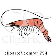 Clipart Illustration Of A Sketched Pink Prawn