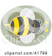 Poster, Art Print Of Bumble Bee Over Brown Circles