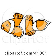 Poster, Art Print Of Sketched Clown Fish
