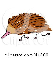 Poster, Art Print Of Sketched Brown Echidna