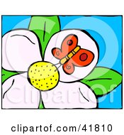 Clipart Illustration Of A Red Butterfly Drinking Nectar From A White Flower by Prawny