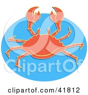 Poster, Art Print Of Alert Orange Crab Holding His Claws Up On Blue