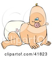 Poster, Art Print Of Baby Girl Sucking On A Pacifier And Crawling In A Diaper